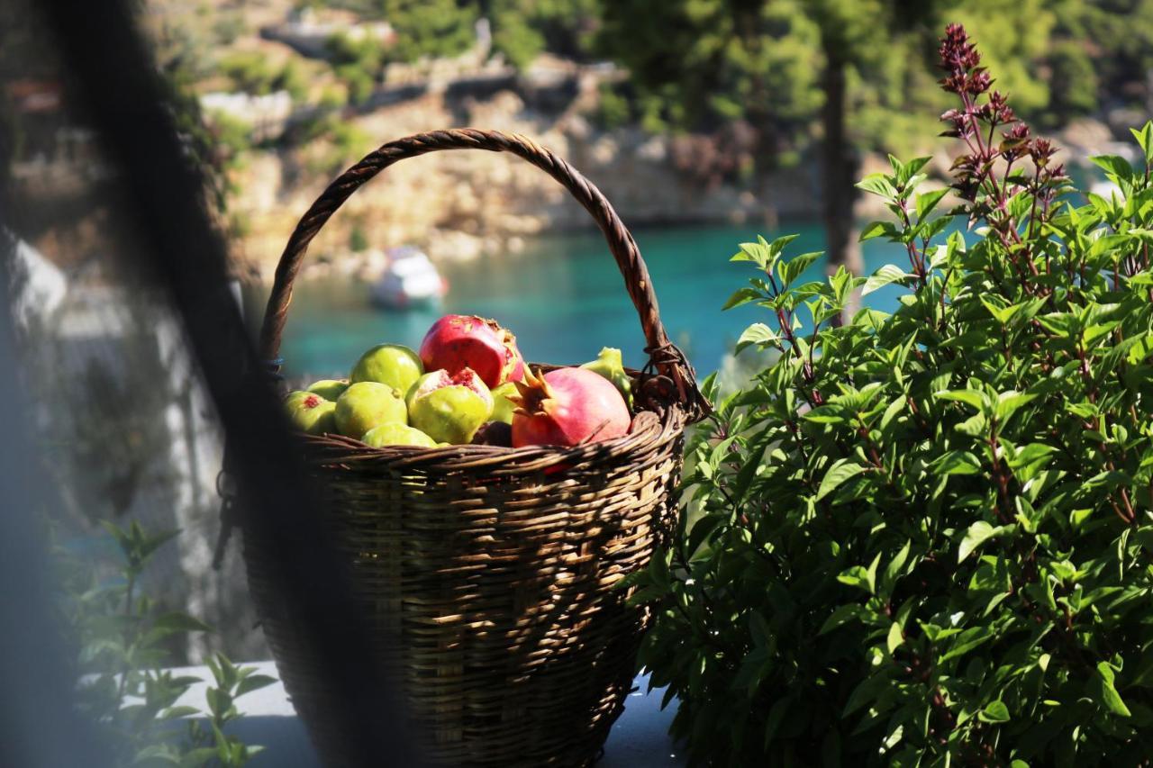 Evilio Votsi  Dış mekan fotoğraf
